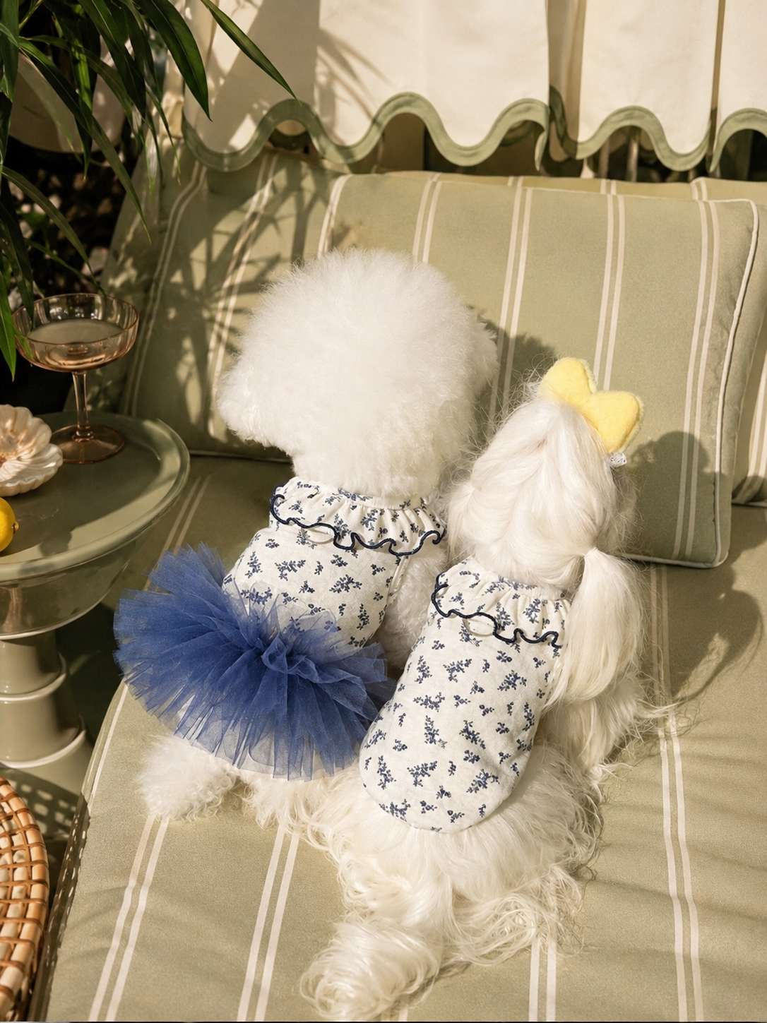 Bluebell Tutu Dog Dress