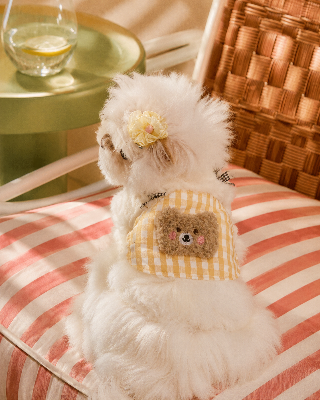 Teddy Picnic Sherpa Vest
