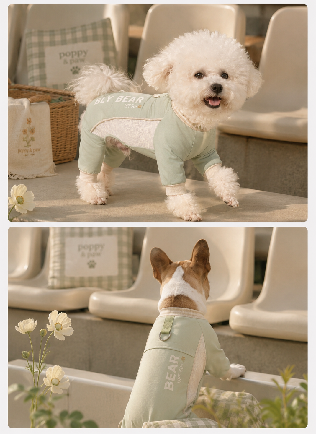 CloudCool™ UV Protection Dog Shirt