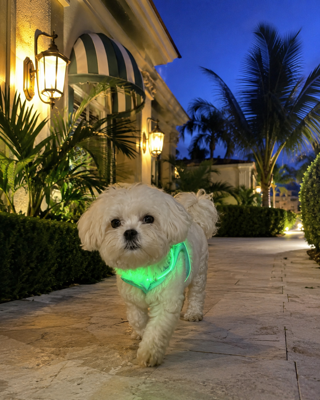 The Afterglow™ LED Safety Vest